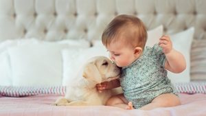 Adopter un animal : quels sont les risques pour bébé ?